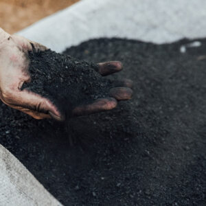 Sawdust biochar