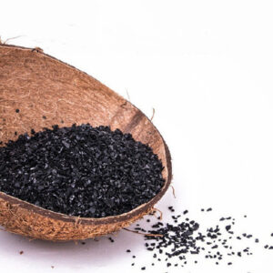 Coconut shell Activated Carbon